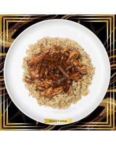 POULET, STYLE CÔTE LEVÉE - GRAND FORMAT - SG-SL